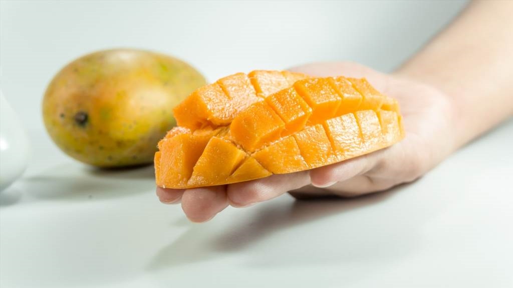 mango owoc kiedy dojrzały